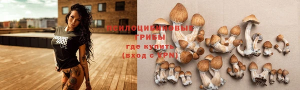 2c-b Гусев
