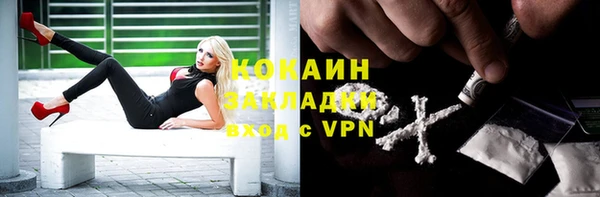 2c-b Гусев