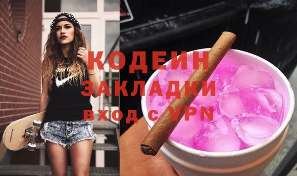 2c-b Гусев