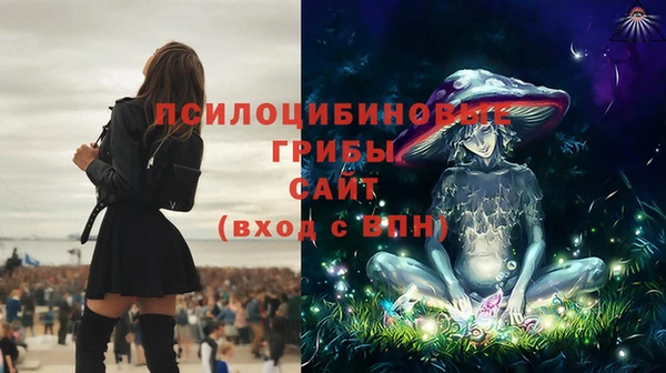 стафф Гусиноозёрск