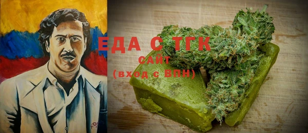 индика Елабуга