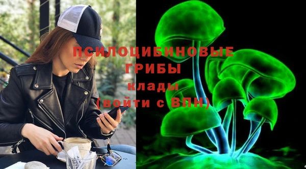 стафф Гусиноозёрск